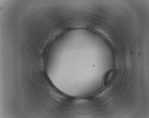 X0000073900453200609011722