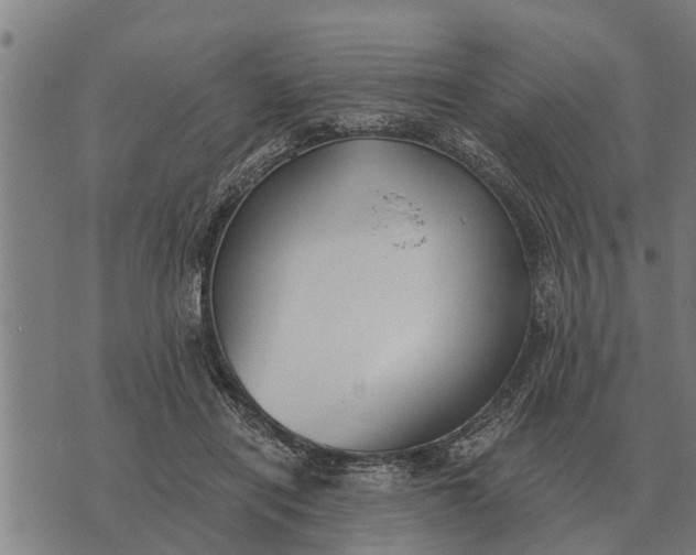 X0000073900454200609011722