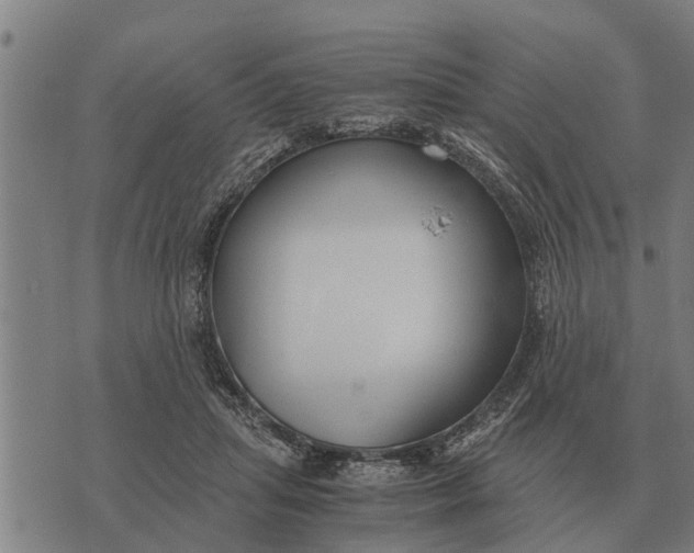 X0000073900455200609011722