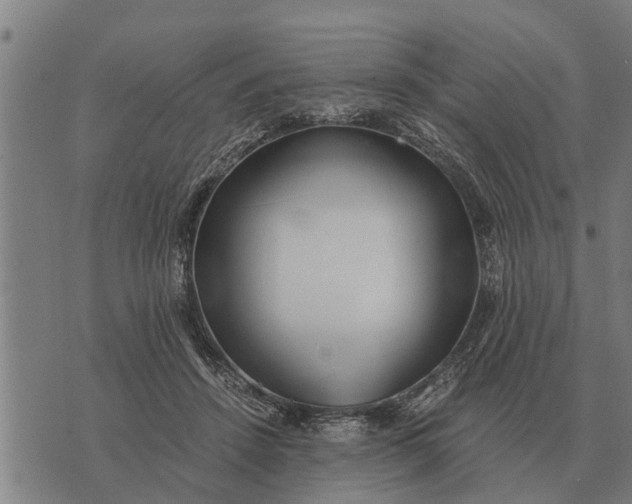 X0000073900456200609011722