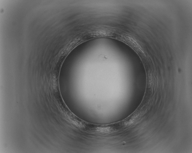 X0000073900457200609011722