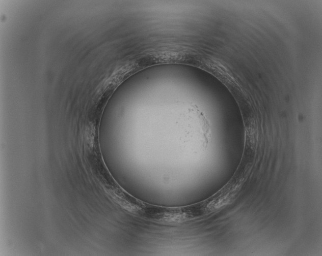 X0000073900458200609011723