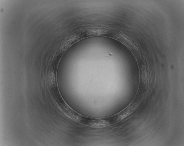 X0000073900459200609011723