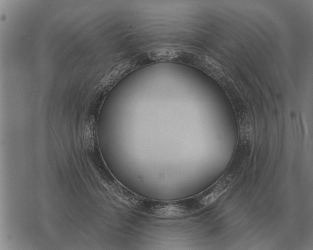 X0000073900460200609011723