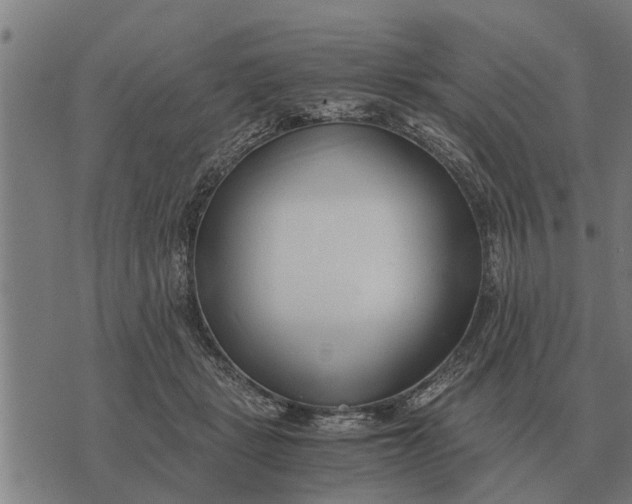 X0000073900461200609011723