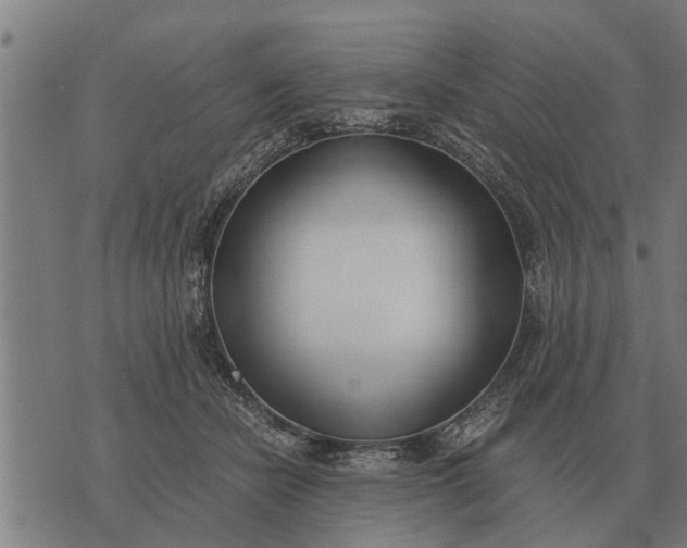 X0000073900462200609011723