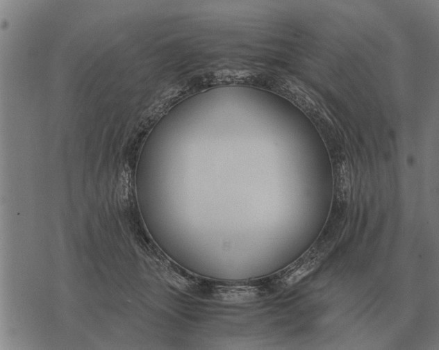 X0000073900463200609011723