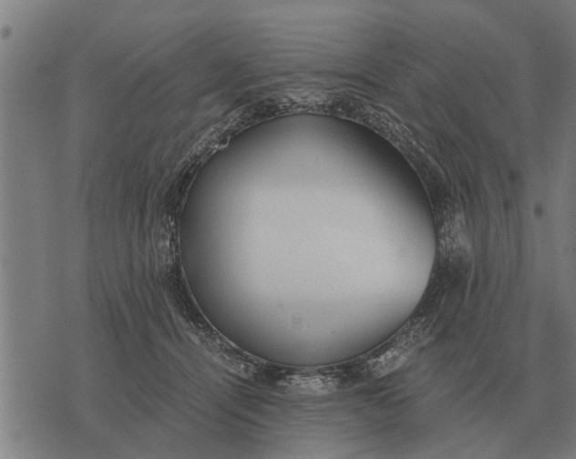 X0000073900464200609011723