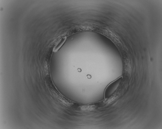 X0000073900465200609011723