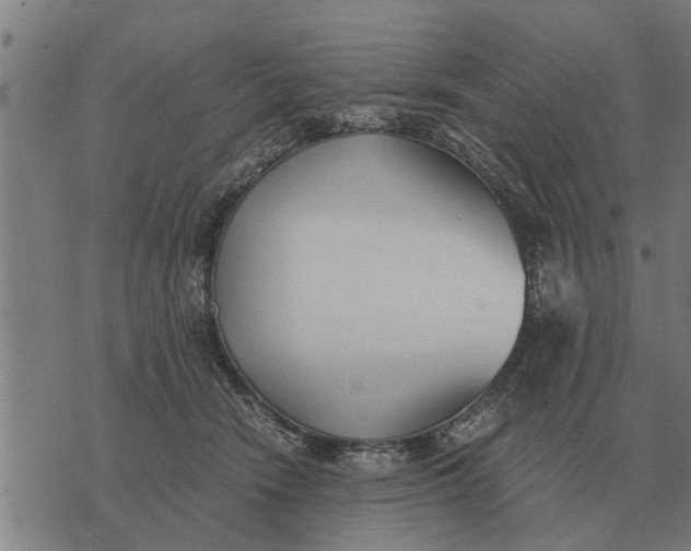 X0000073900466200609011723