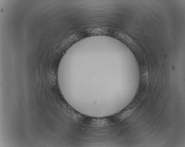 X0000073900469200609011723