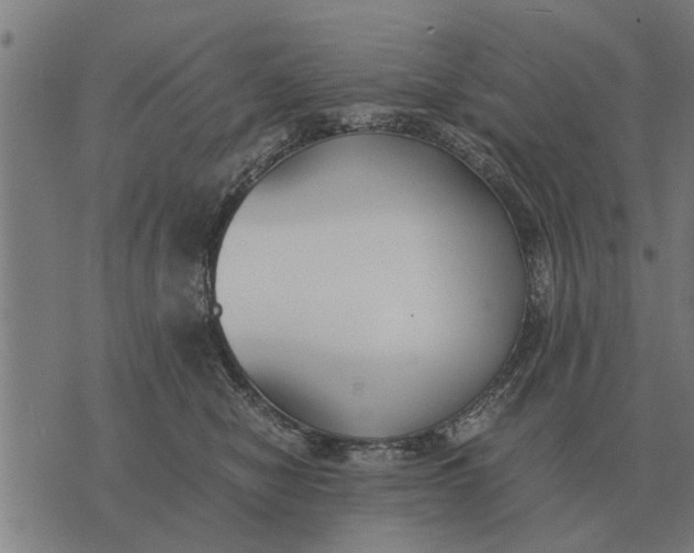 X0000073900470200609011723