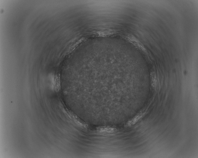 X0000073900471200609011723