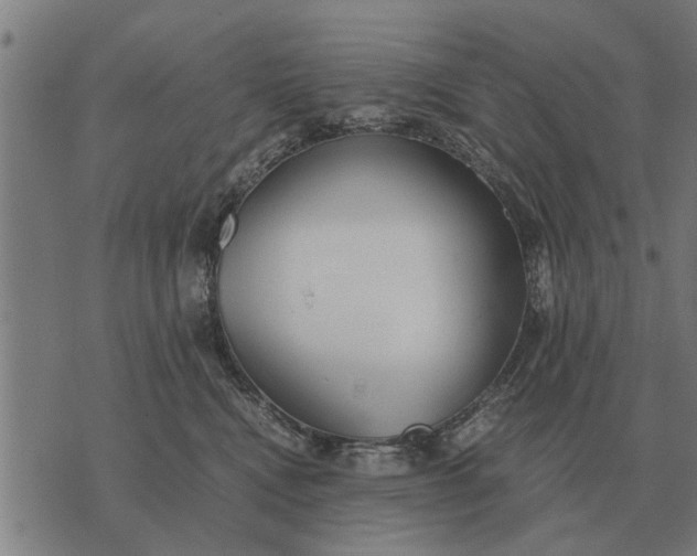 X0000073900472200609011723