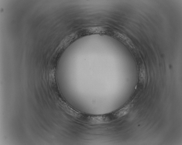 X0000073900473200609011723