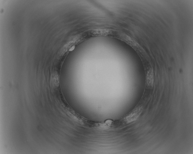 X0000073900474200609011723