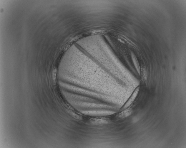 X0000073900475200609011723