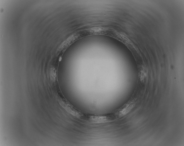 X0000073900476200609011723