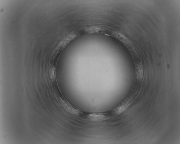 X0000073900477200609011723