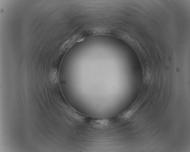 X0000073900478200609011723