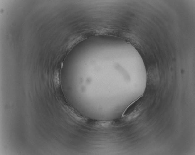 X0000073900479200609011723