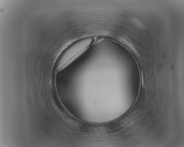 X0000073900483200609011722