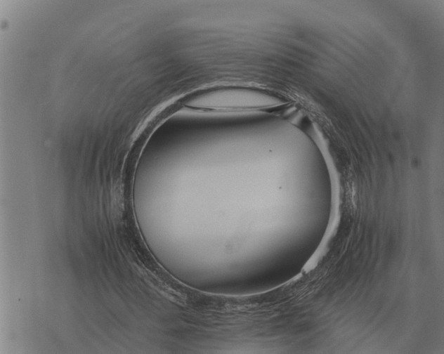 X0000073900484200609011722