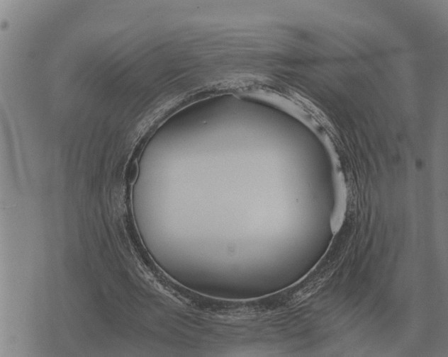 X0000073900485200609011722