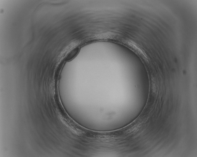 X0000073900486200609011722