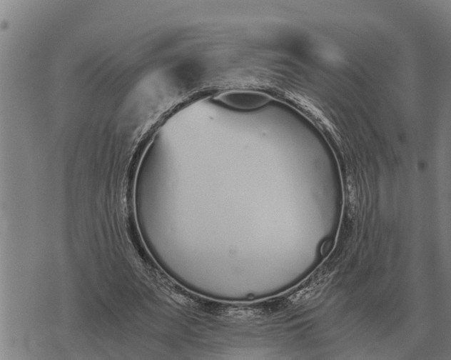 X0000073900487200609011722