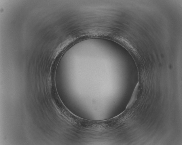 X0000073900488200609011722