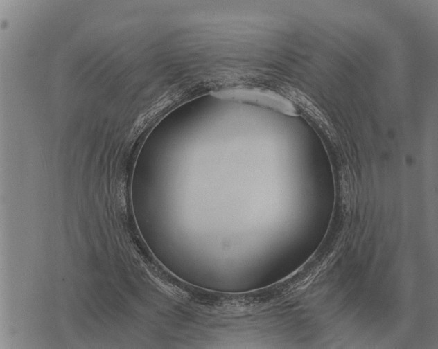 X0000073900489200609011722