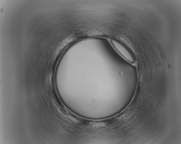 X0000073900491200609011722