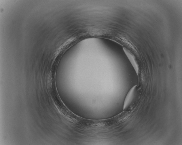 X0000073900492200609011722