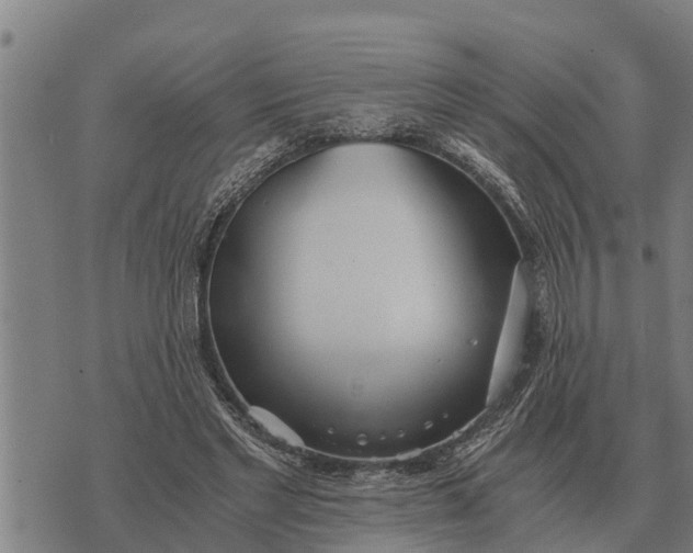 X0000073900493200609011722