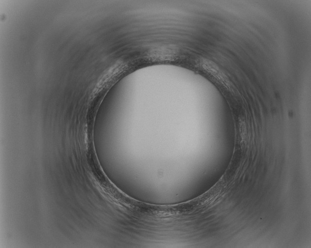 X0000073900494200609011722