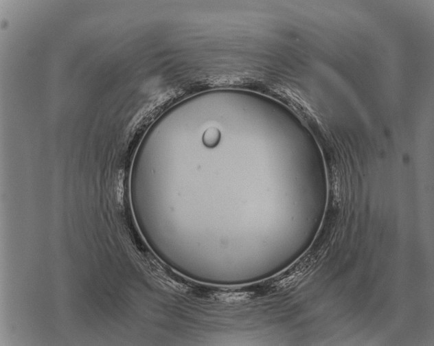 X0000073900495200609011722