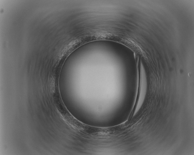 X0000073900496200609011722