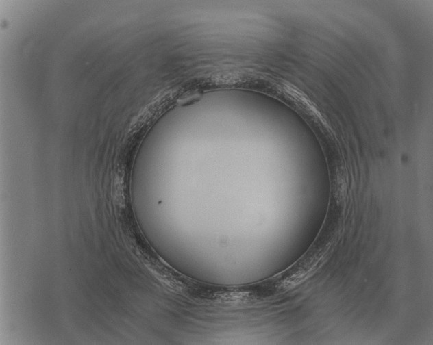 X0000073900497200609011722