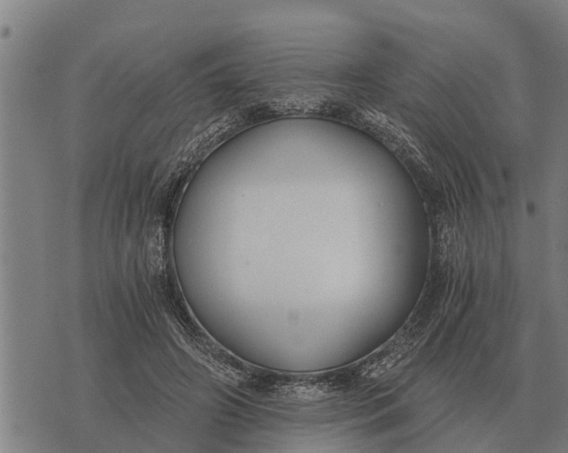 X0000073900498200609011722