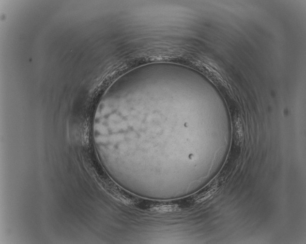 X0000073900499200609011722