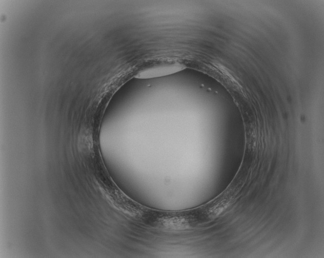 X0000073900500200609011722