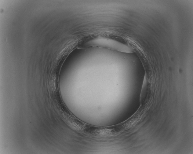 X0000073900501200609011722