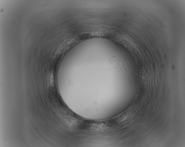 X0000073900502200609011722