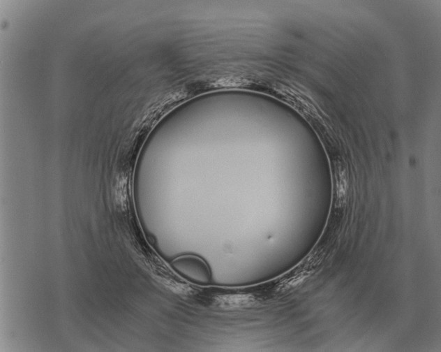 X0000073900503200609011722