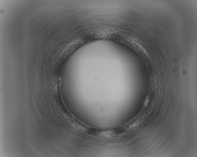 X0000073900505200609011722