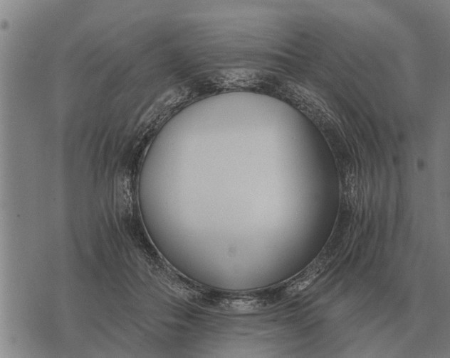 X0000073900506200609011722