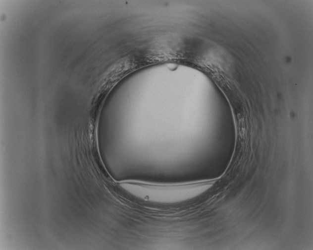 X0000073900507200609011722