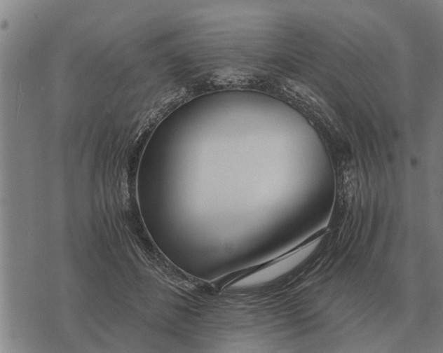 X0000073900508200609011722