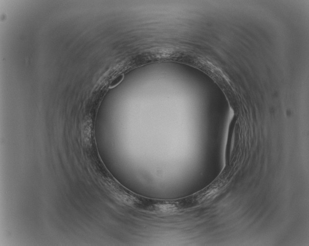 X0000073900509200609011722